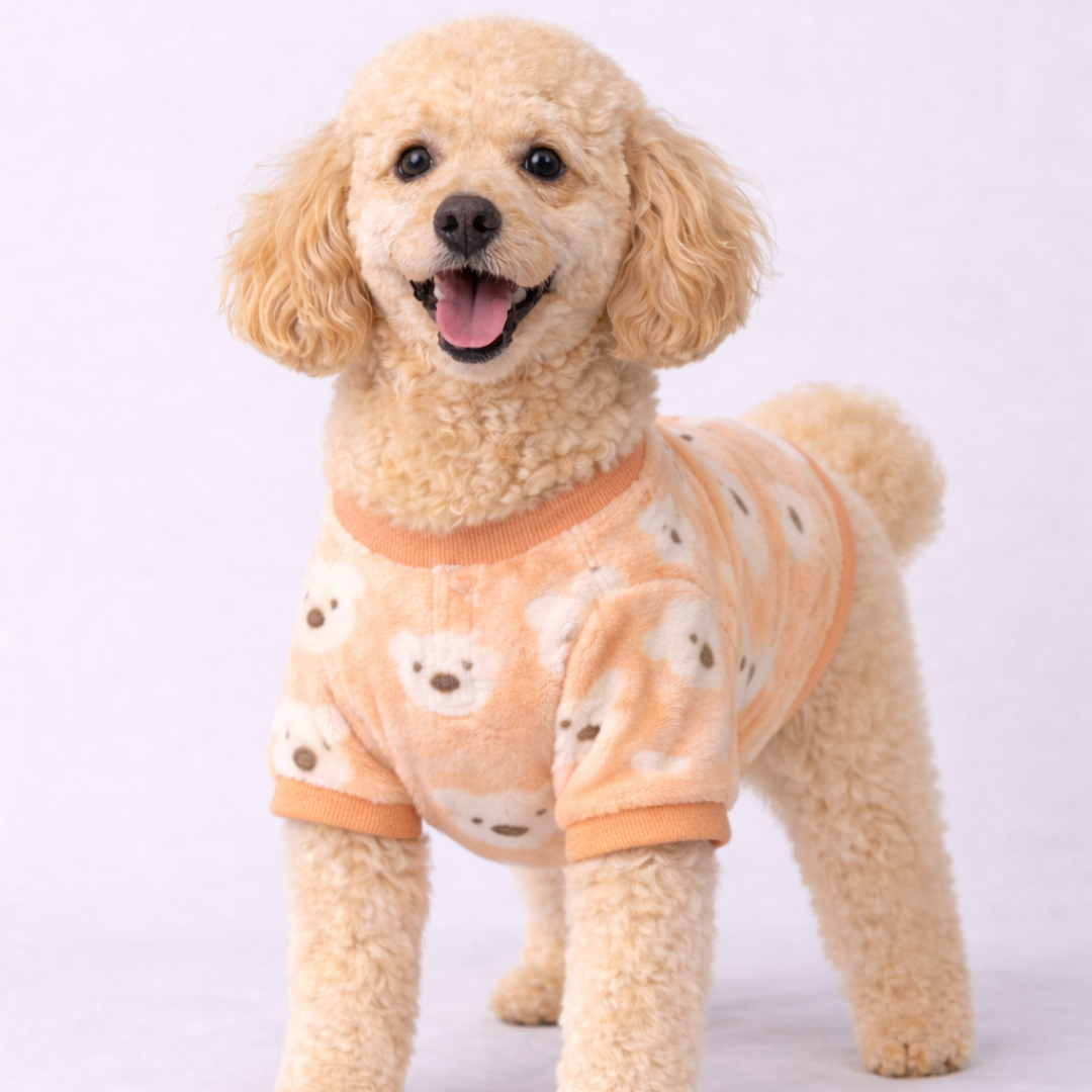 Orange Teddy Soft Winter TShirt: Cozy Winter Wear for All Breeds