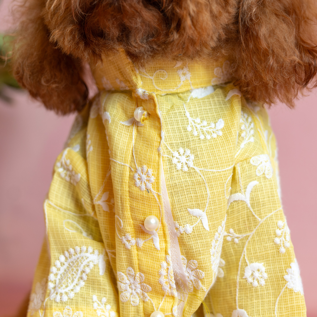 Yellow White Embroidery Kurta