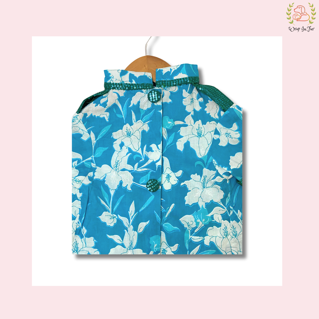 Blue Pathani Dog Kurta