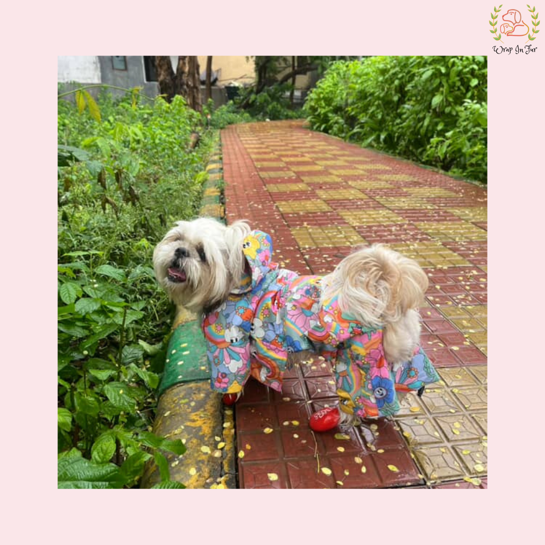 Color Splash Dog Raincoat