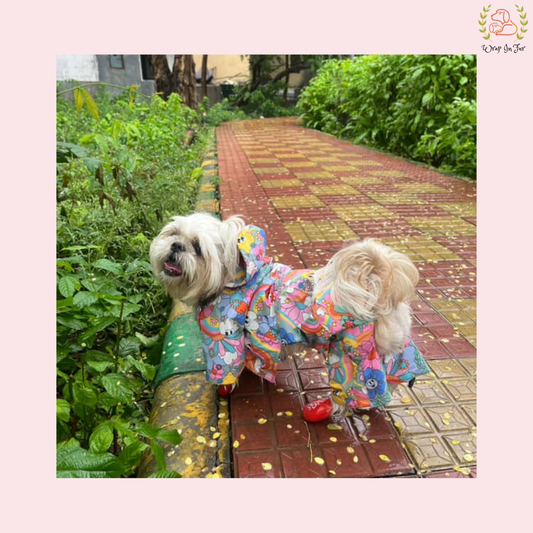 Color Splash Dog Raincoat