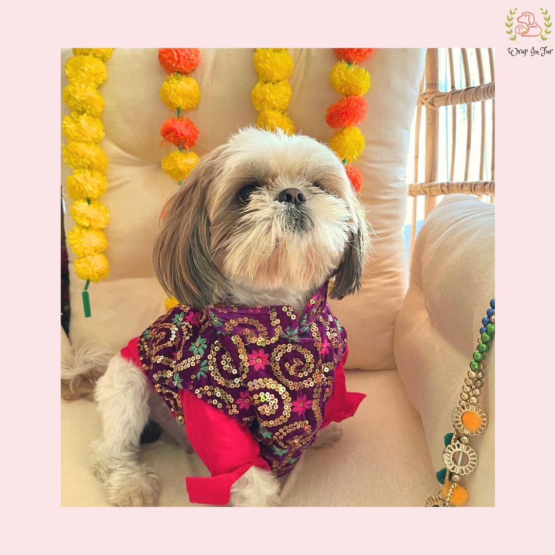 Purple Chak Mak Jacket with Pink Kurta