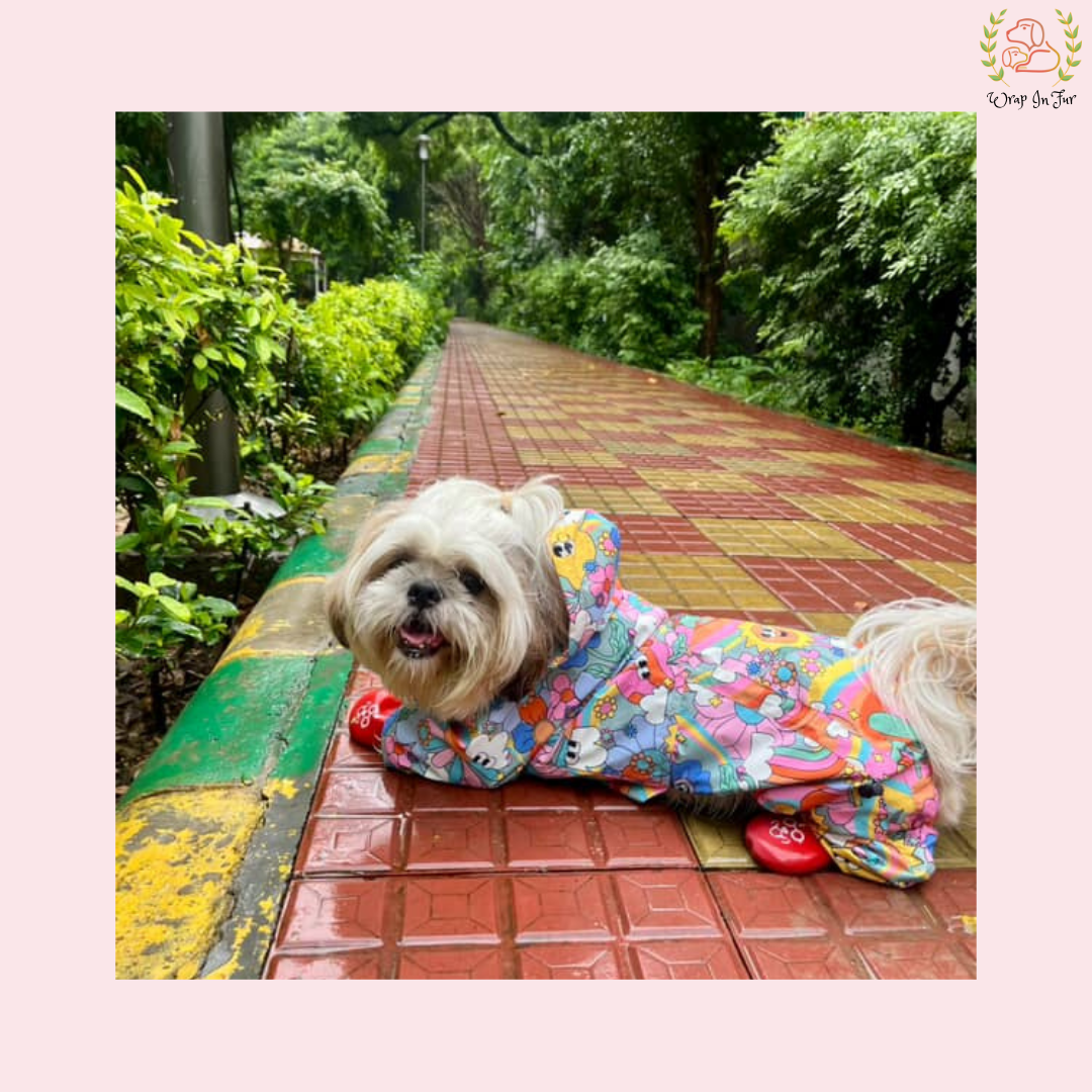 Color Splash Dog Raincoat