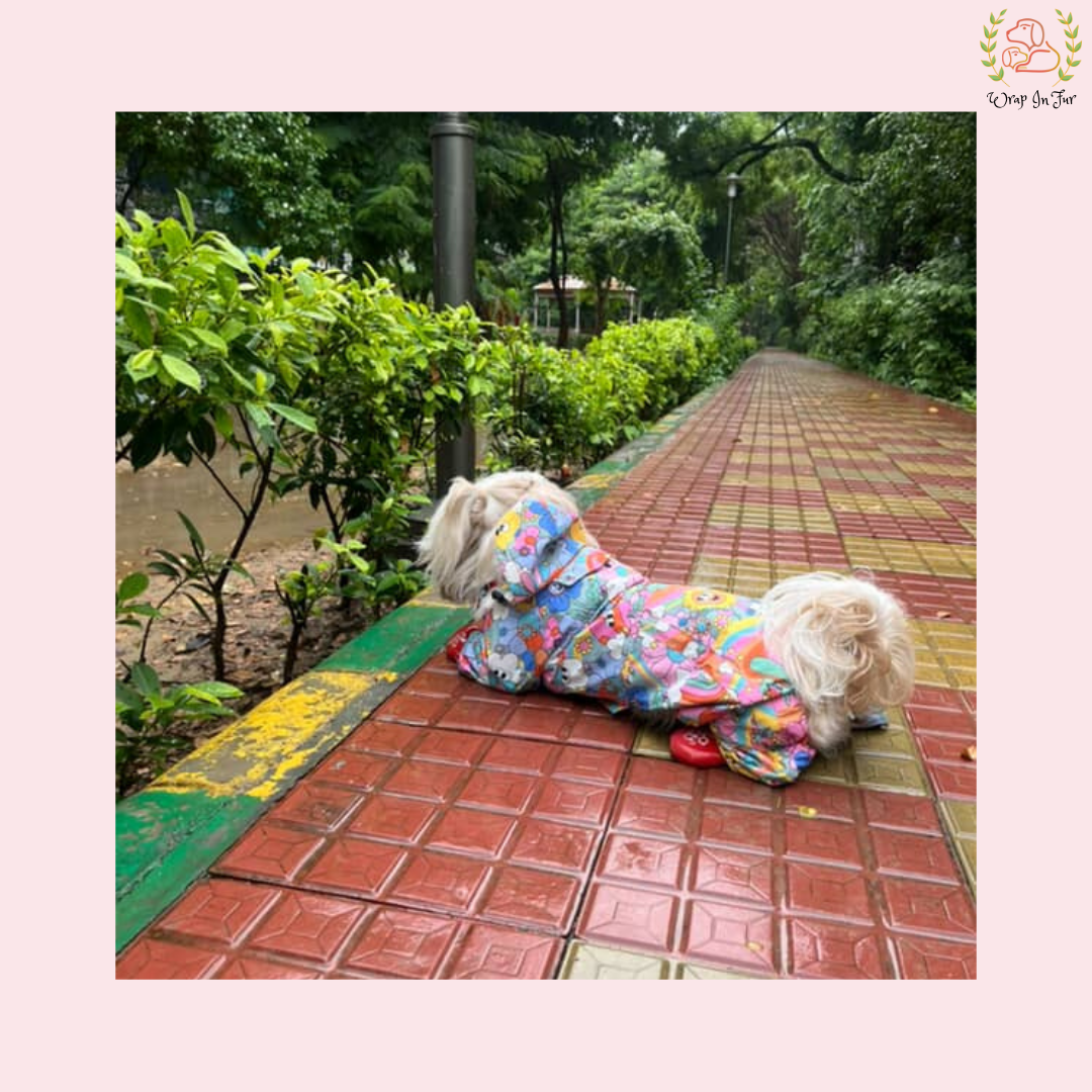 Color Splash Dog Raincoat