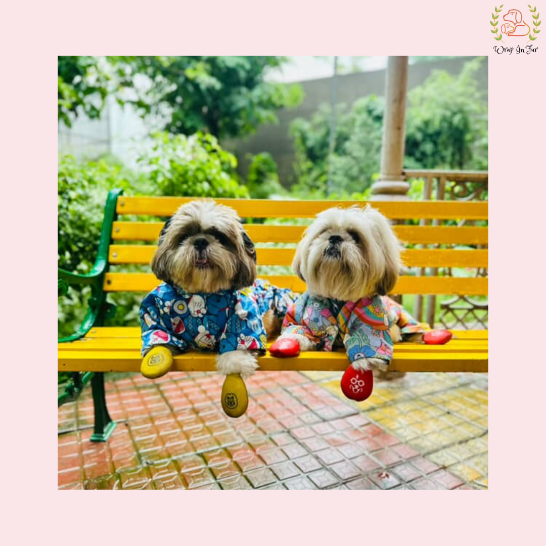 Color Splash Dog Raincoat