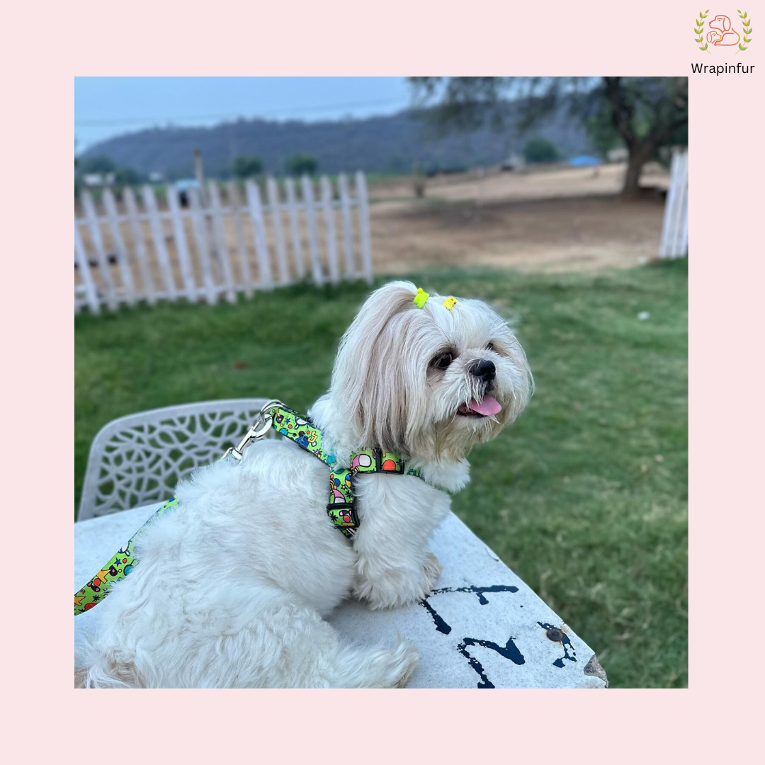 Green Fab Harness With Leash