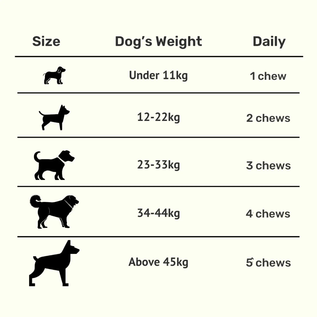 Absolut Probiotic & Gut Chews | Probiotics for Dogs Chicken 30 Chews