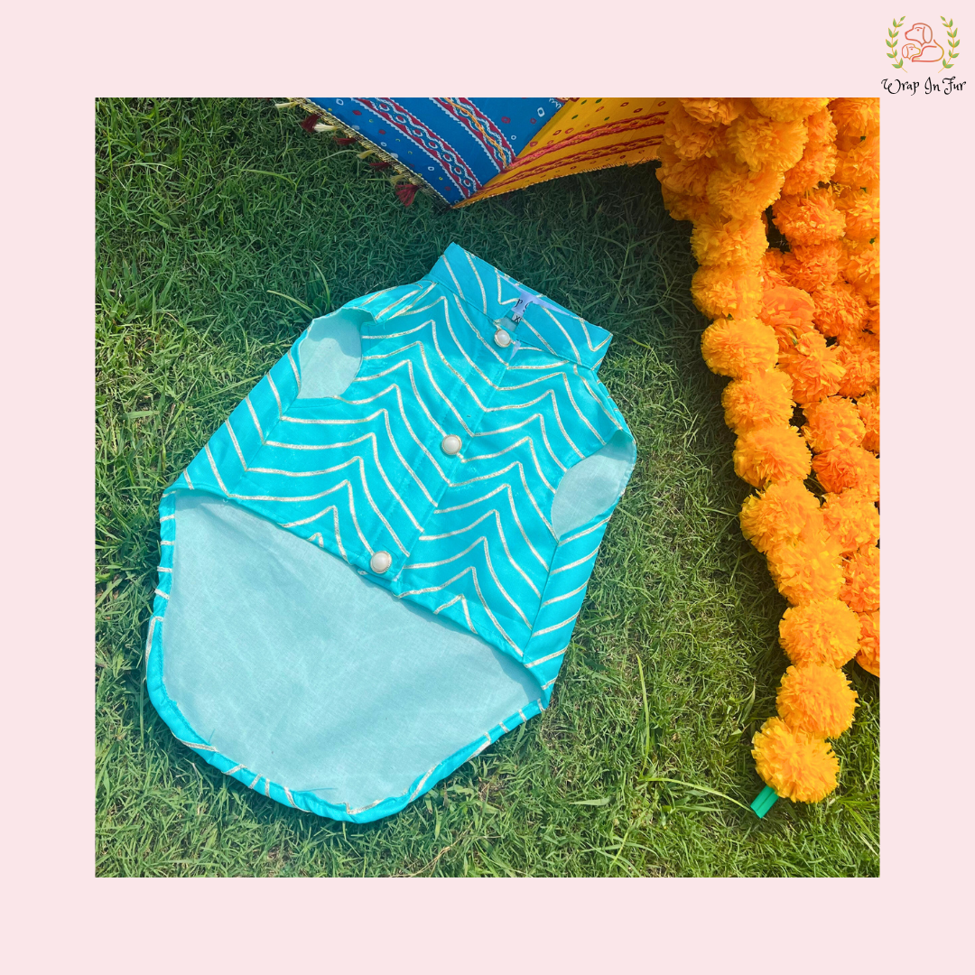 Aqua Golden Sherwani