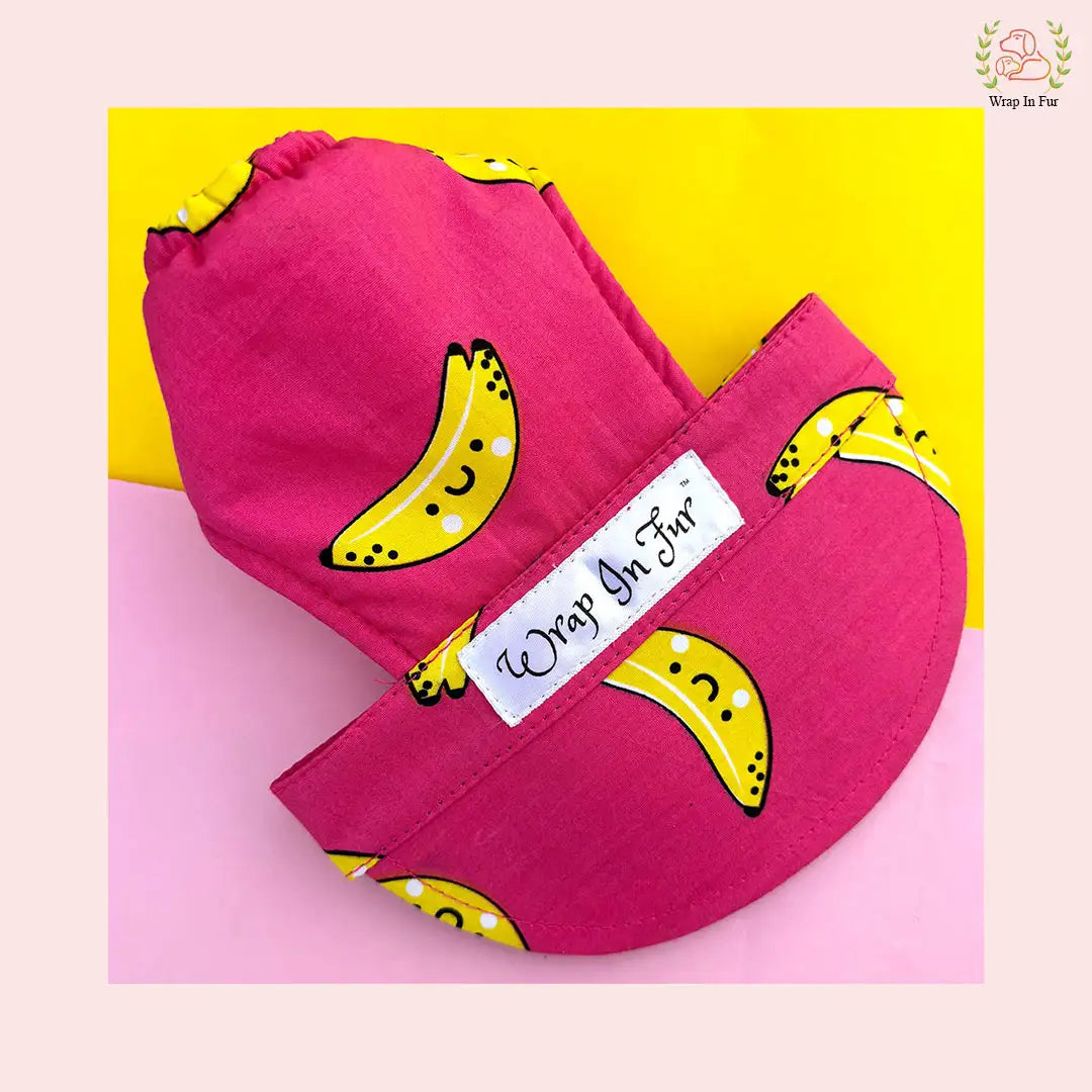 online dog cap