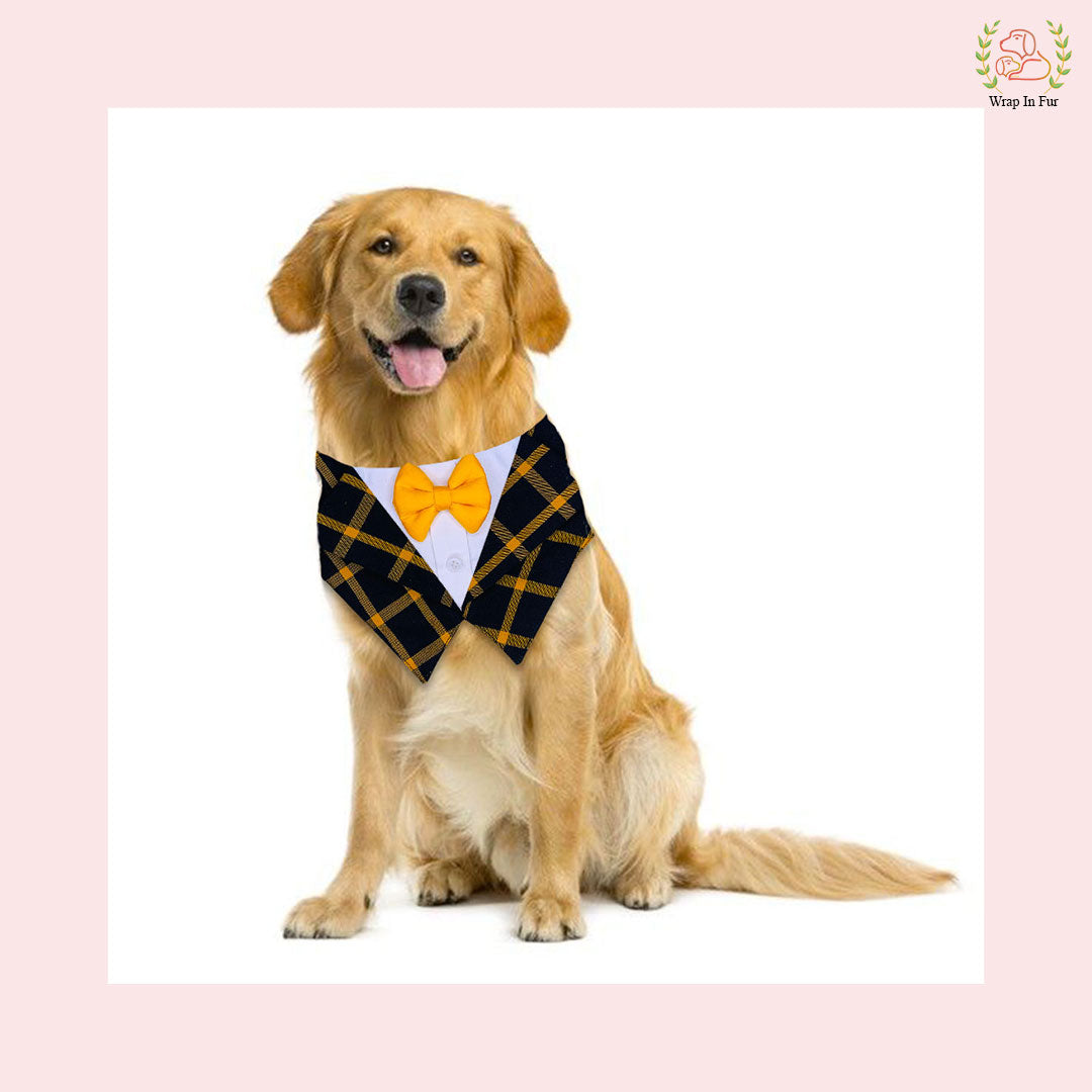 Big Dog Bumble Tuxedo Bandana