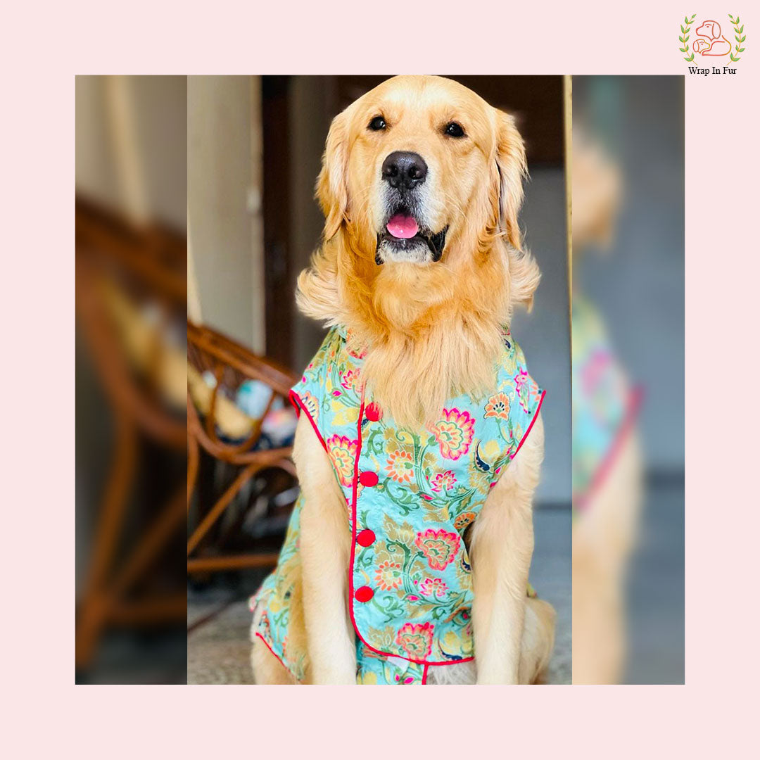 Big dog Blue Flower Jacket for big dog