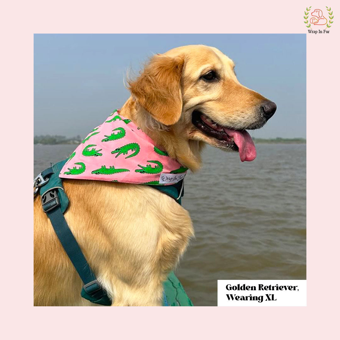 Big dog Crocodile Bandana