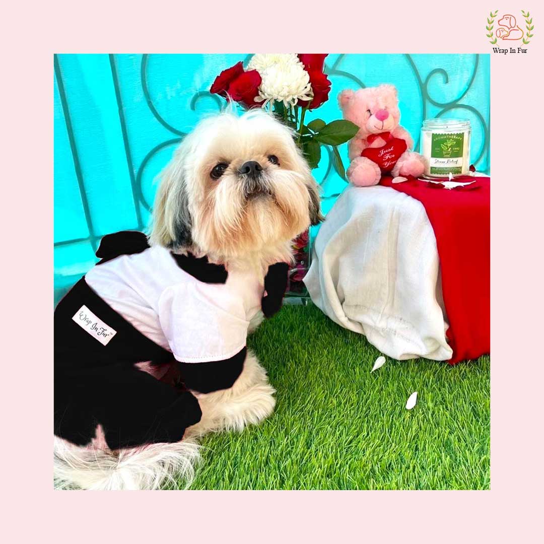 Black Sailor Dress for dogs