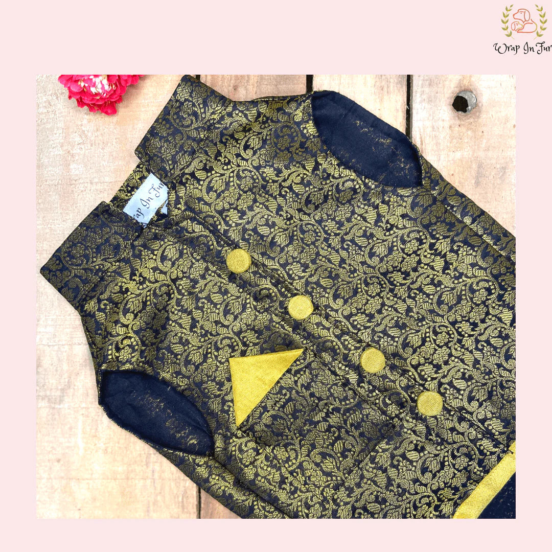 Black Sherwani indian outfit for dog