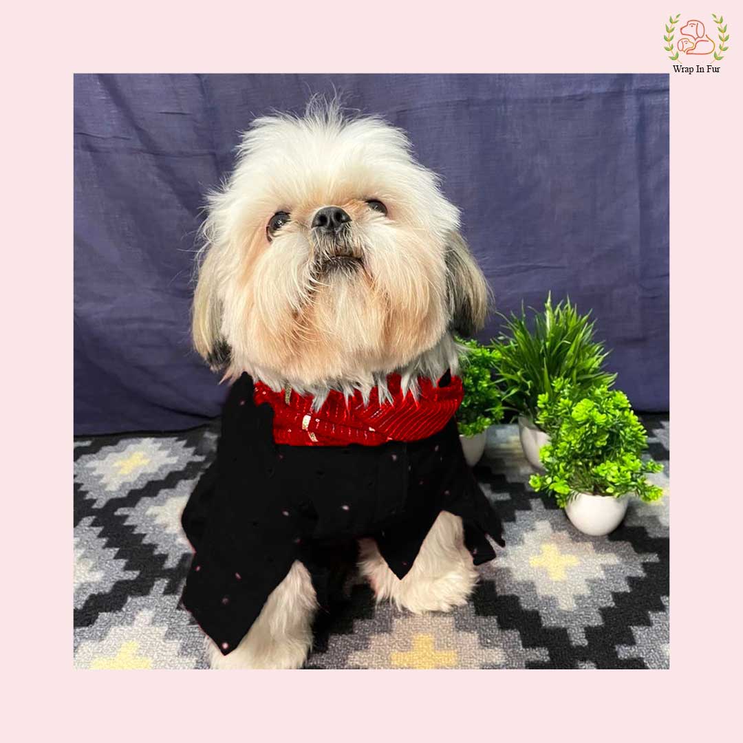 Black & Red Mirror Work Dog Kurta Set - Indian Dog Ethnic Wear