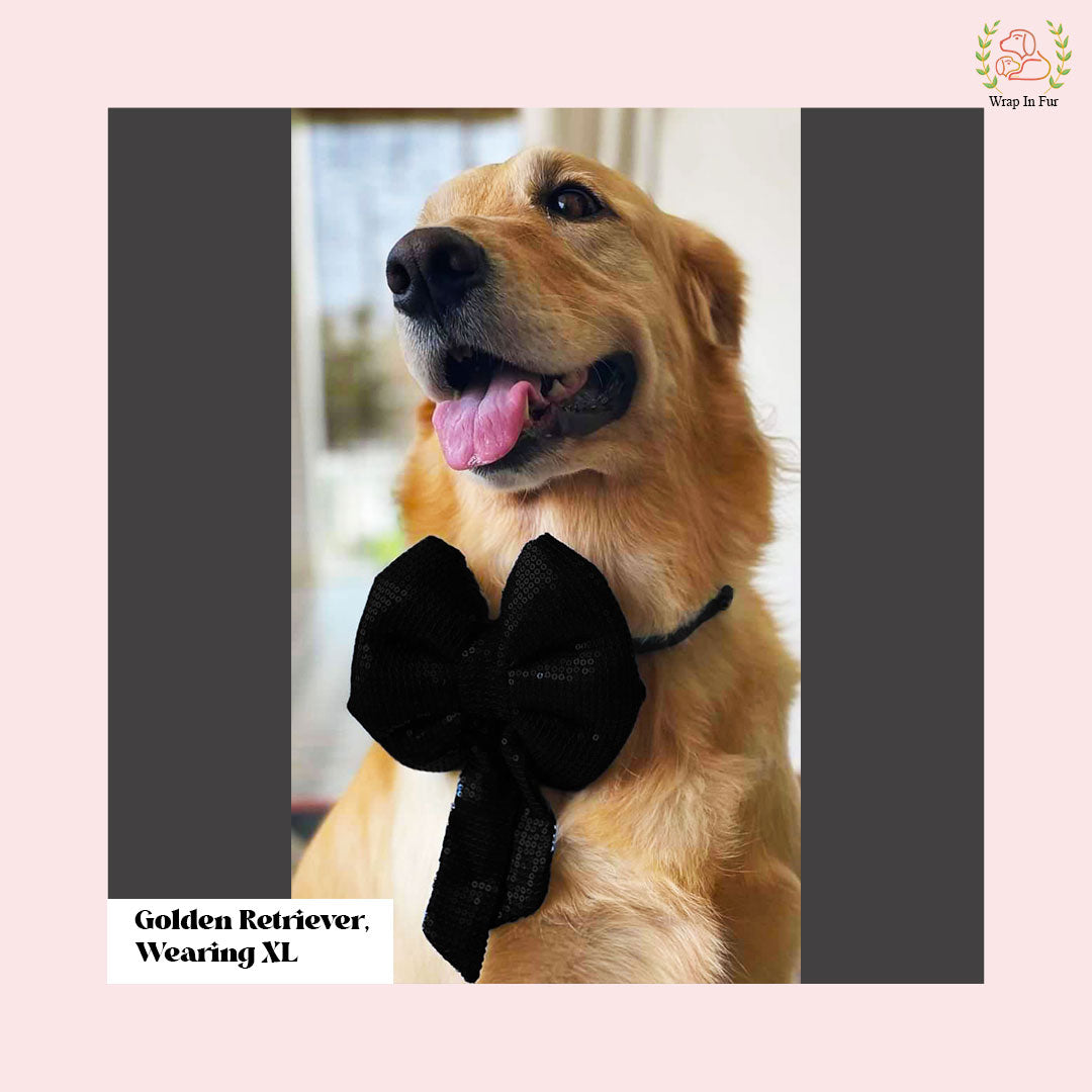 birthday Black bling dog bow Online