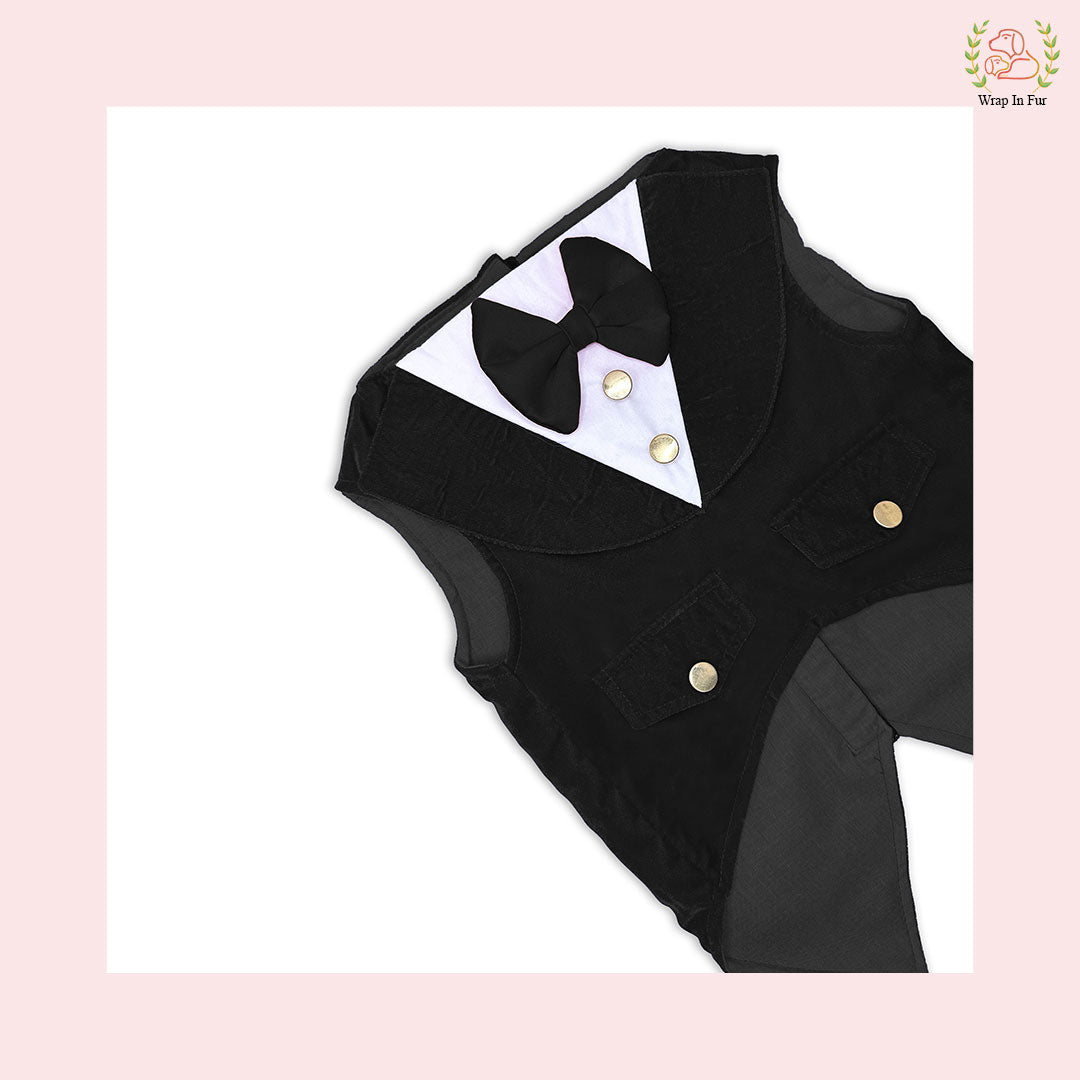 Black velvet dog tuxedo with black bow