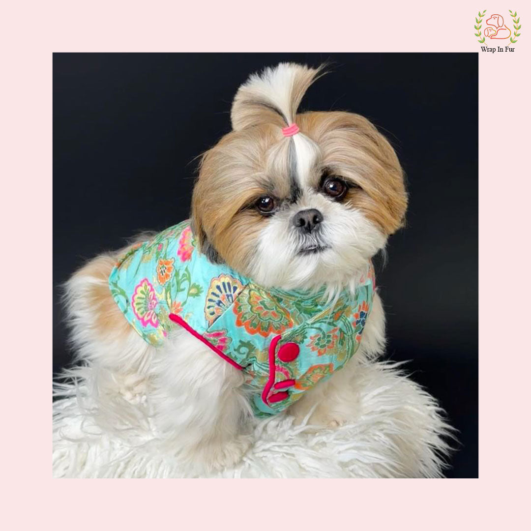 Blue Flower Jacket for dogs