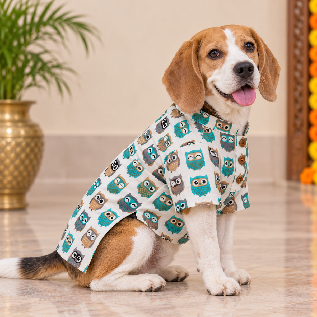 Blue Owl Print Dog Kurta