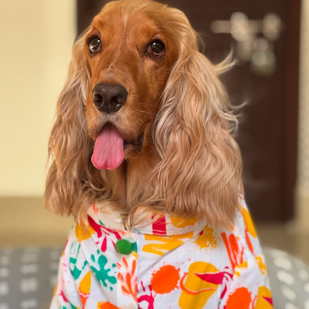 Blue Rangeen Dog Kurta Twinning Set ( Dog kurta along with human kurta )