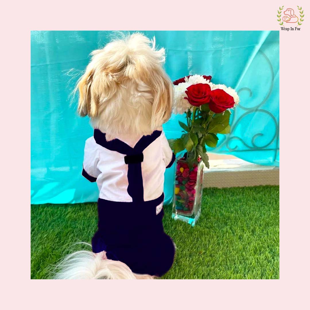 Blue Sailor Dress for dogs