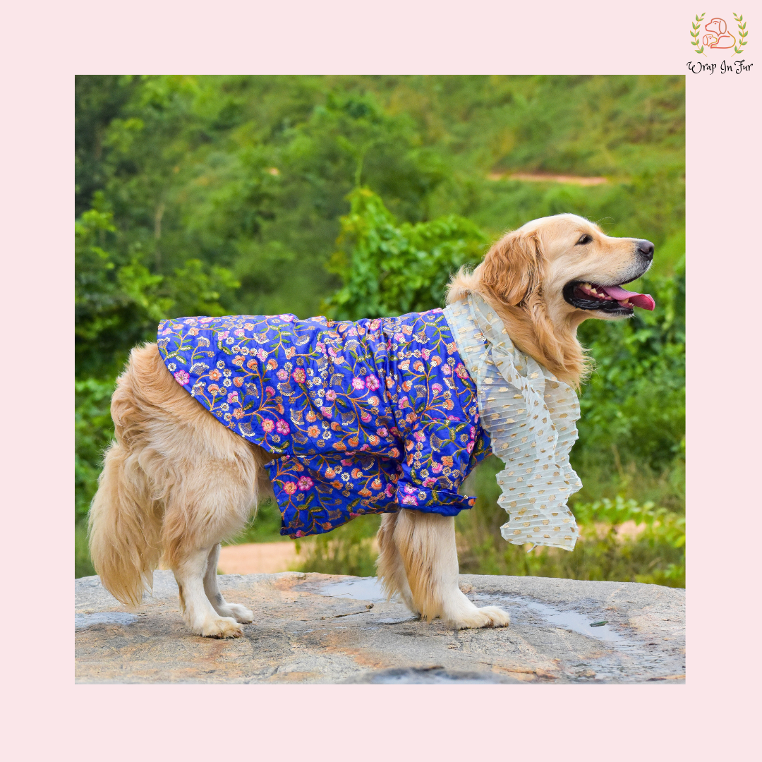 Blue Floral Embroidered Dog Kurta Dress with Dupatta - Indian Dog Ethnic Wear