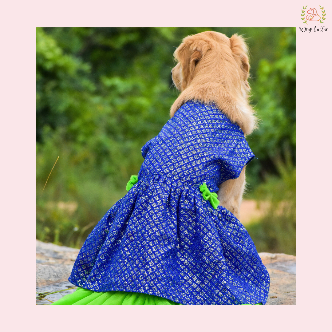 blue dog dress Blue Green Frock Dog Wedding Dress – Princess Bridal Outfit XXS/CAT