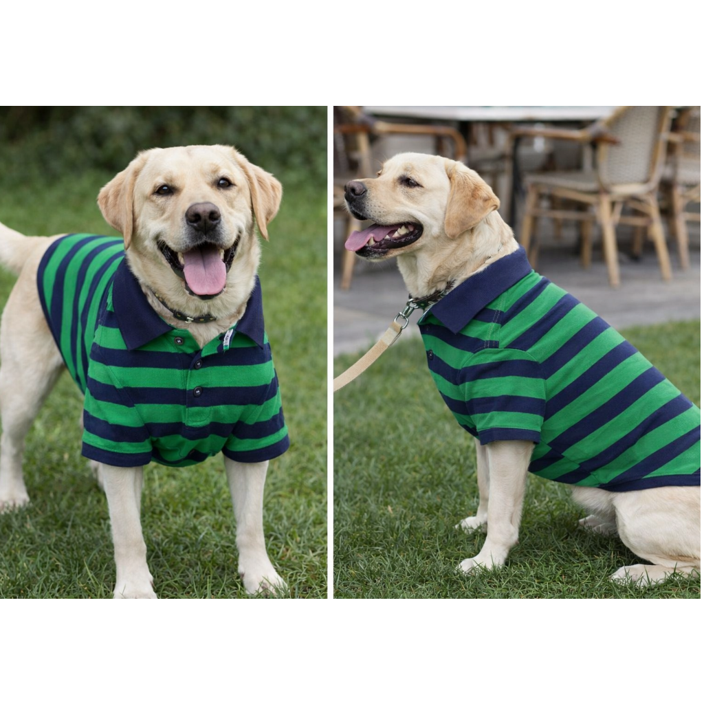Blue Green Stripe Dog Polo T Shirt