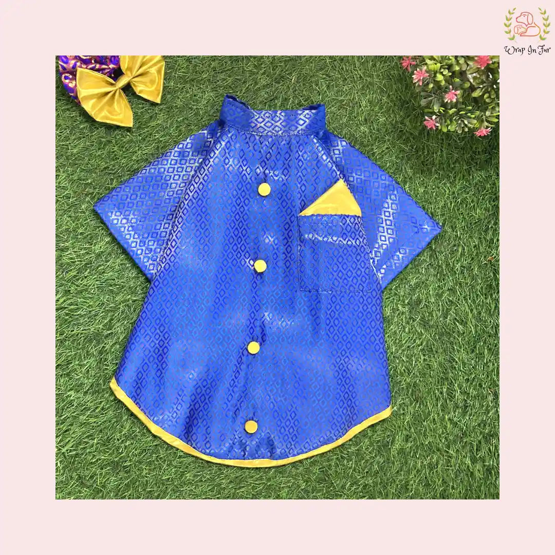 Blue bling dog sherwani indian outfit