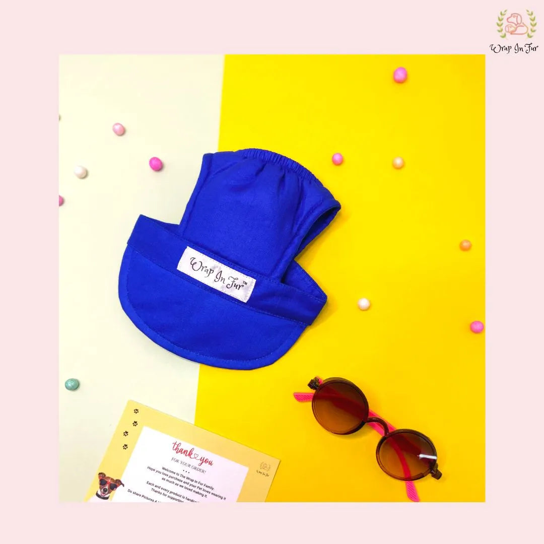Blue cap for dog