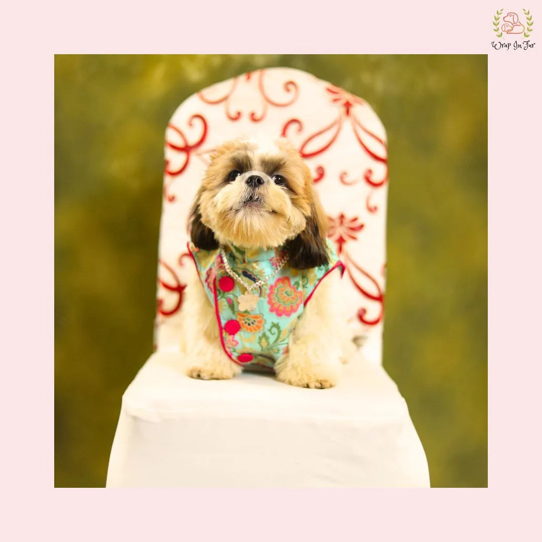 blue flower dog jacket for small dog