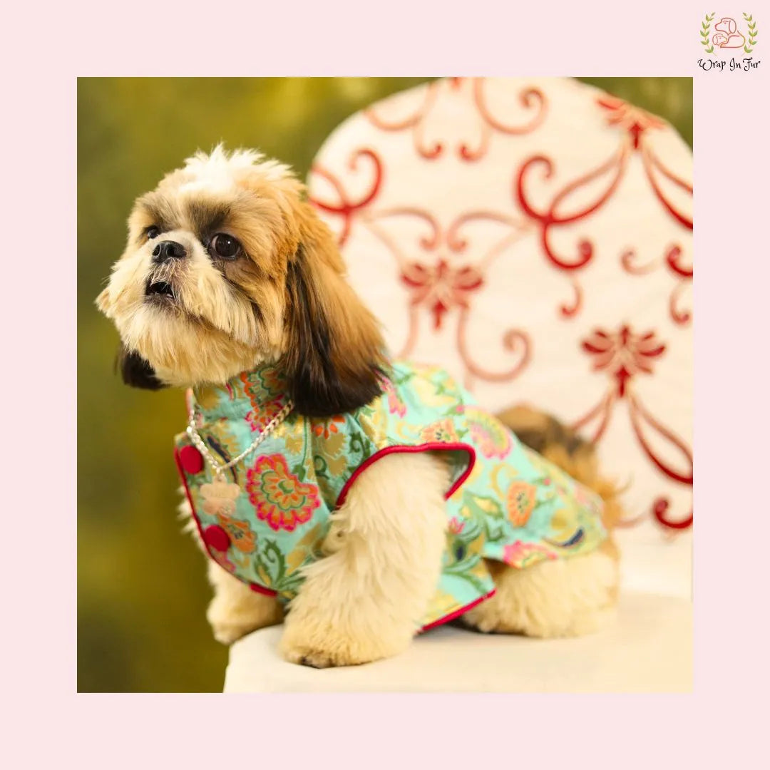 blue flower dog jacket for poodle