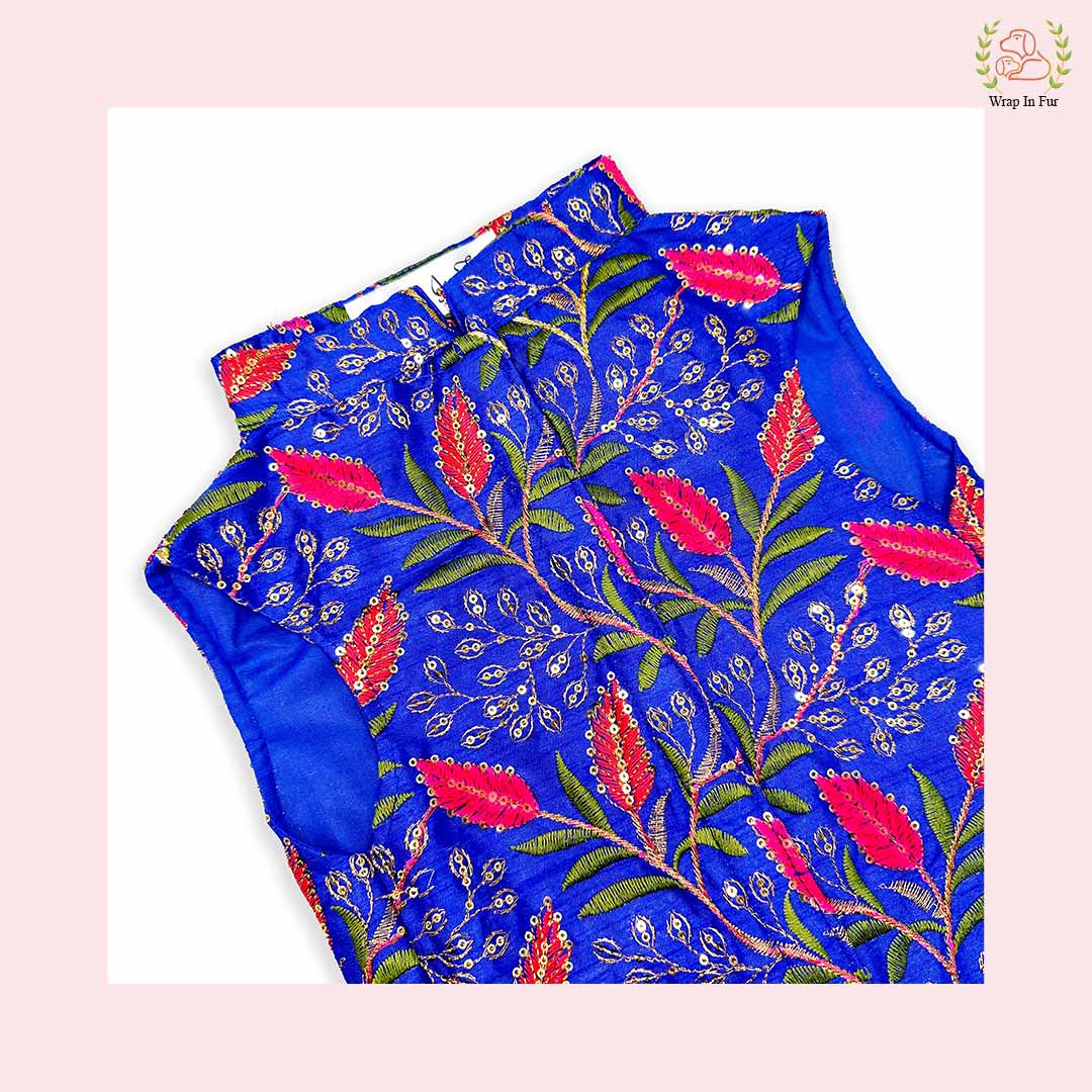Blue pink dog sherwani