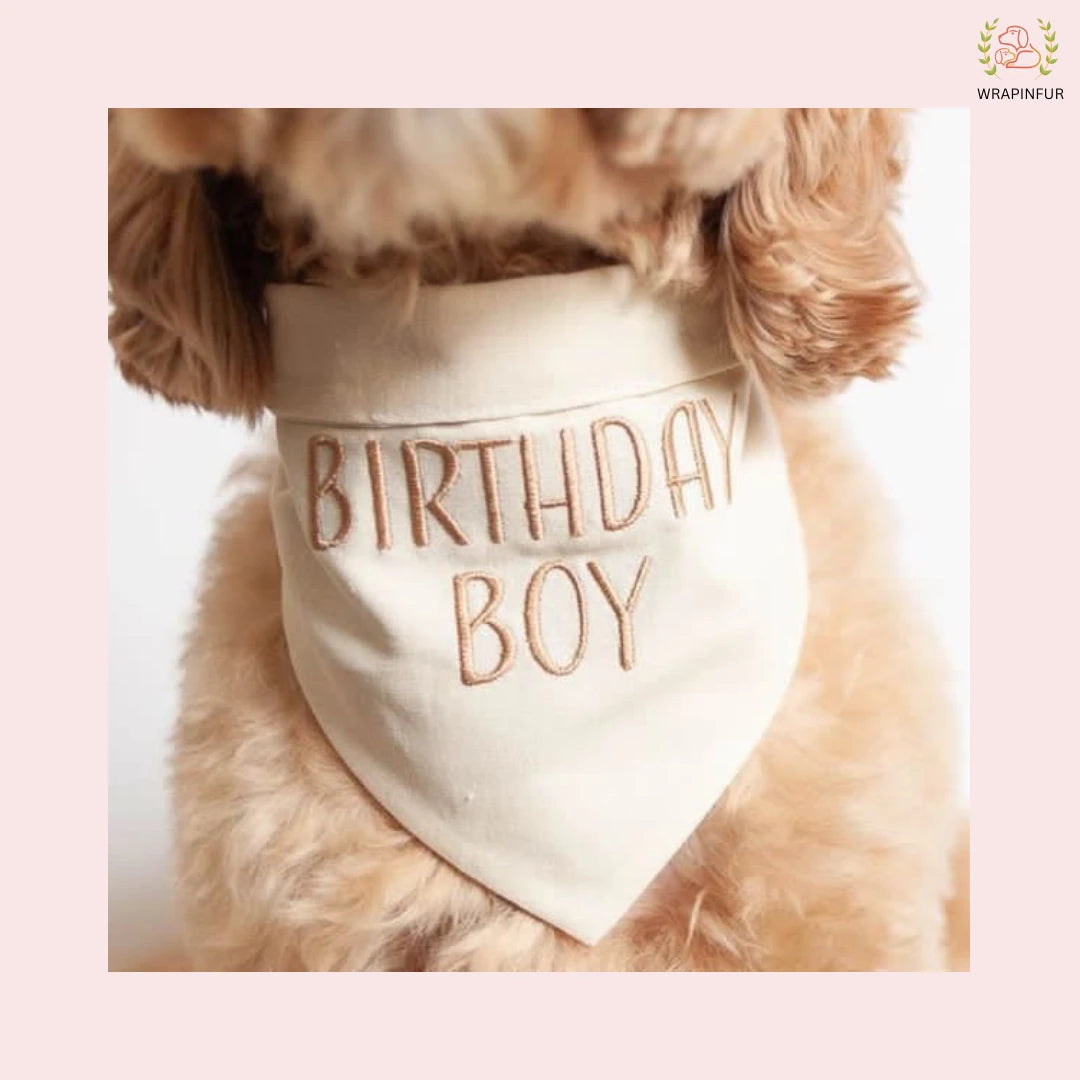 Brown Birthday Boy Bandana