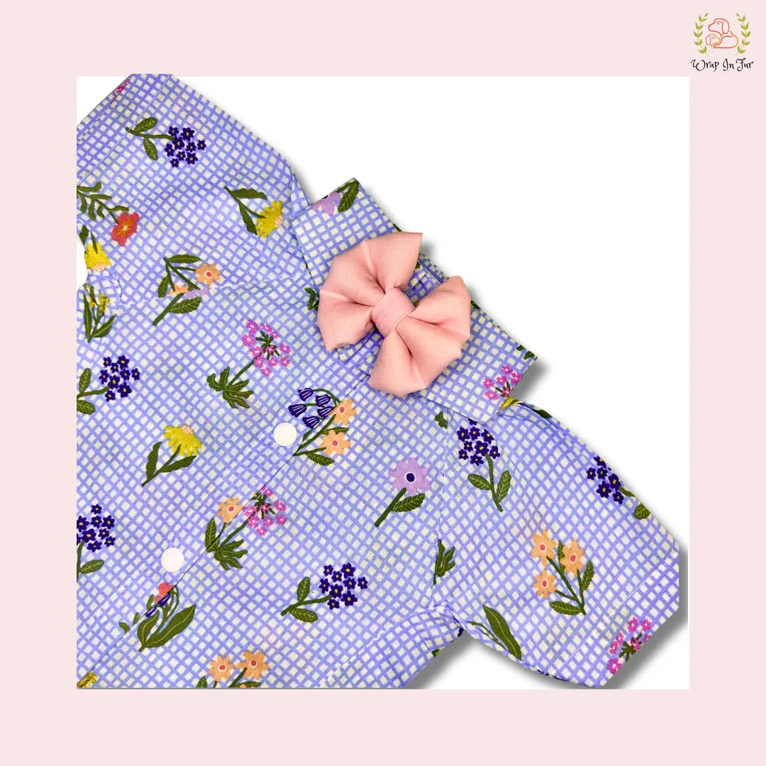 butterfly dog shirt for beagle