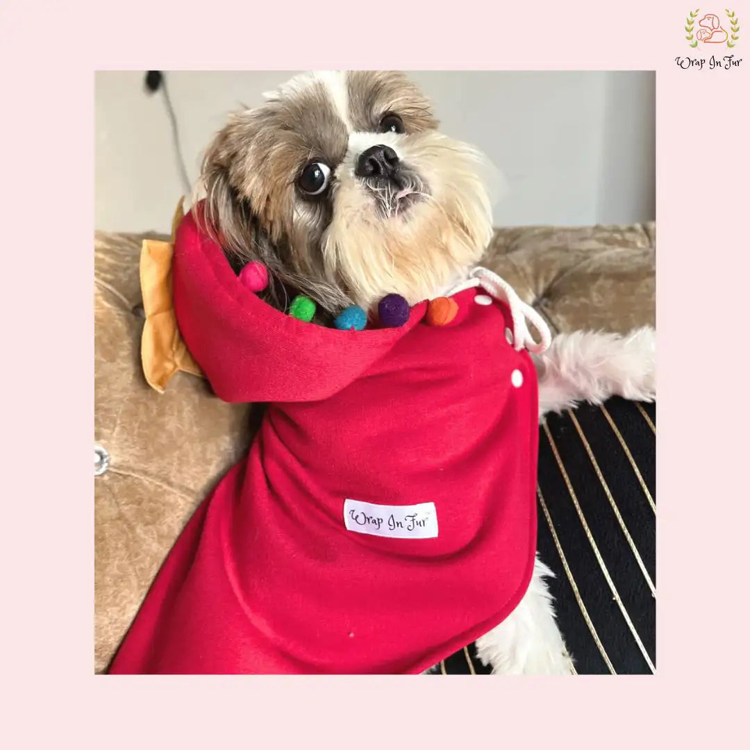 Christmas Pompom Cape for pet dog