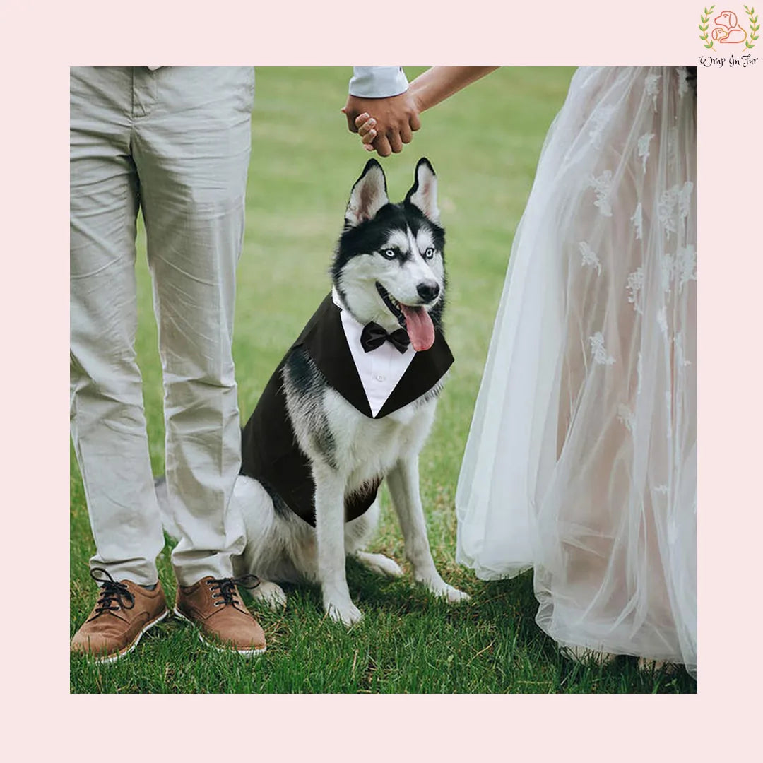Classic Black Dog Tuxedo Suit - Formal Wedding Cape with Bow Tie