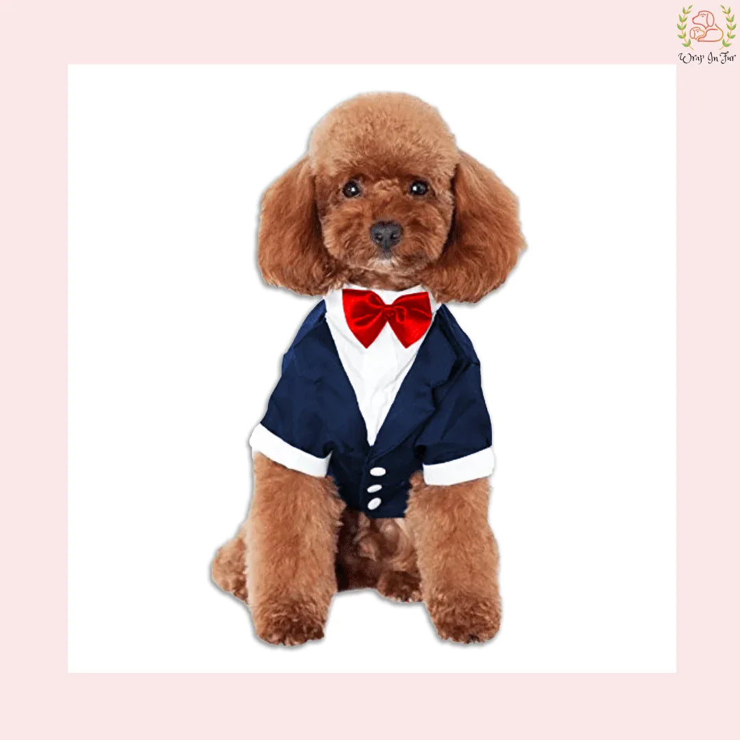Classic Navy Blue Dog Tuxedo Suit - Formal Wedding Attire