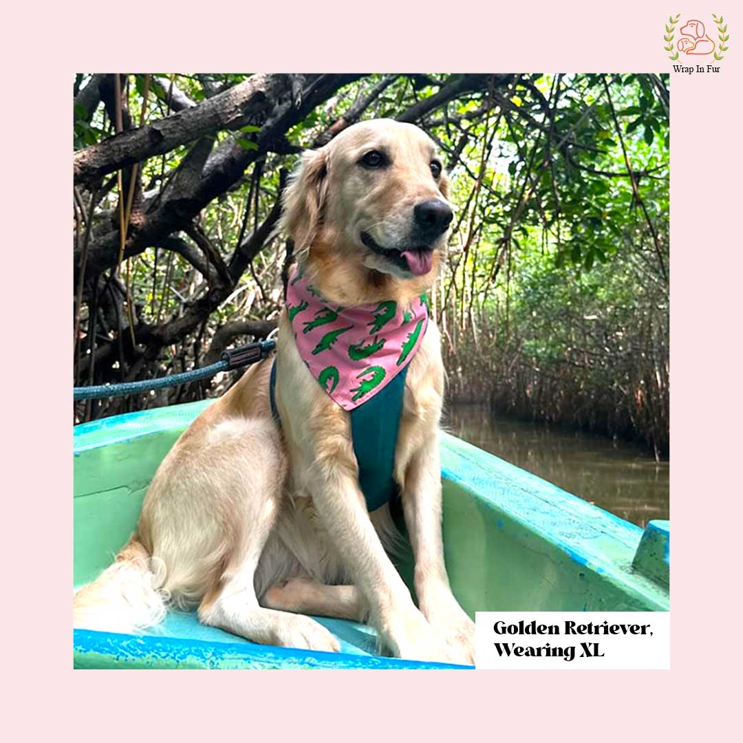 Crocodile Dog Bandana