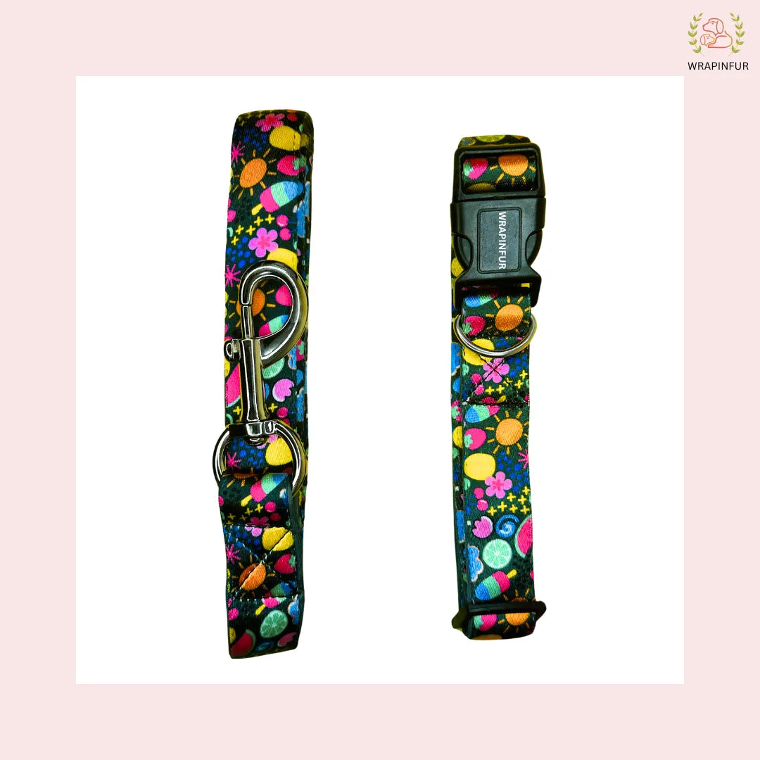 Dog Collar and Leash for small dog