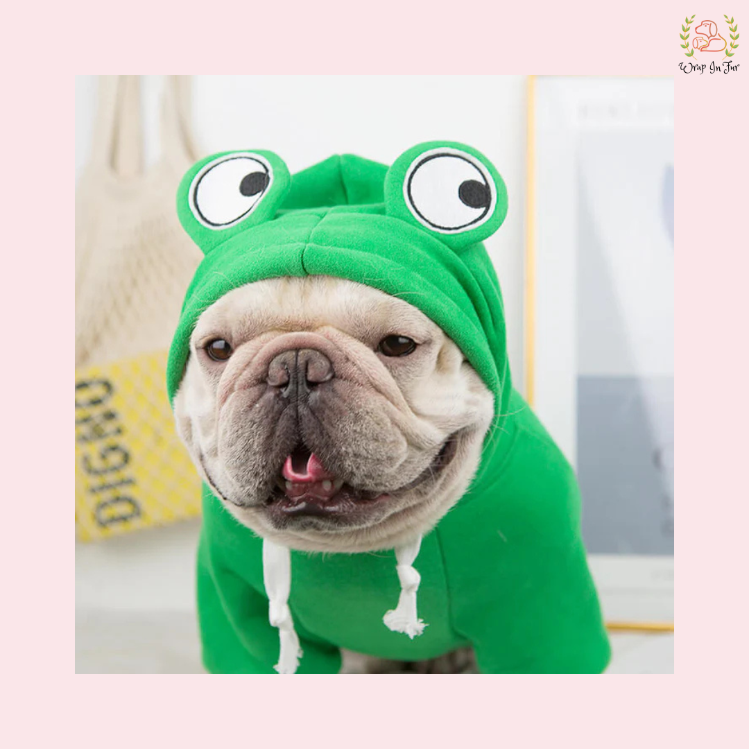 Cute Frog Dog Hoodie – Warm, Cozy & Cartoon Style Winter Wear
