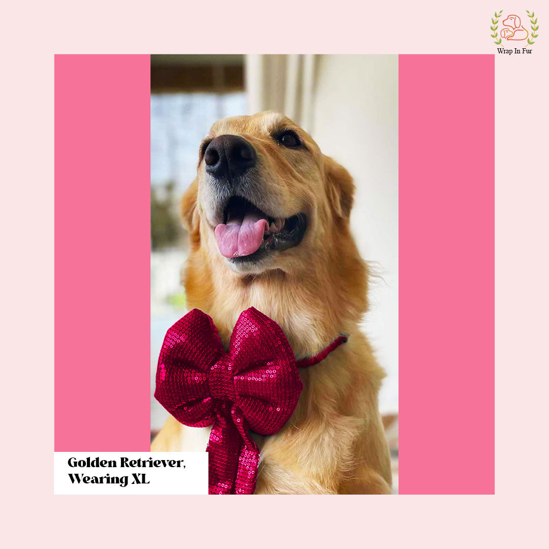 dog sequin bow tie