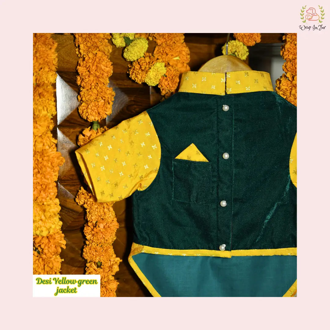 Desi Yellow Green dog Kurta Jacket Set