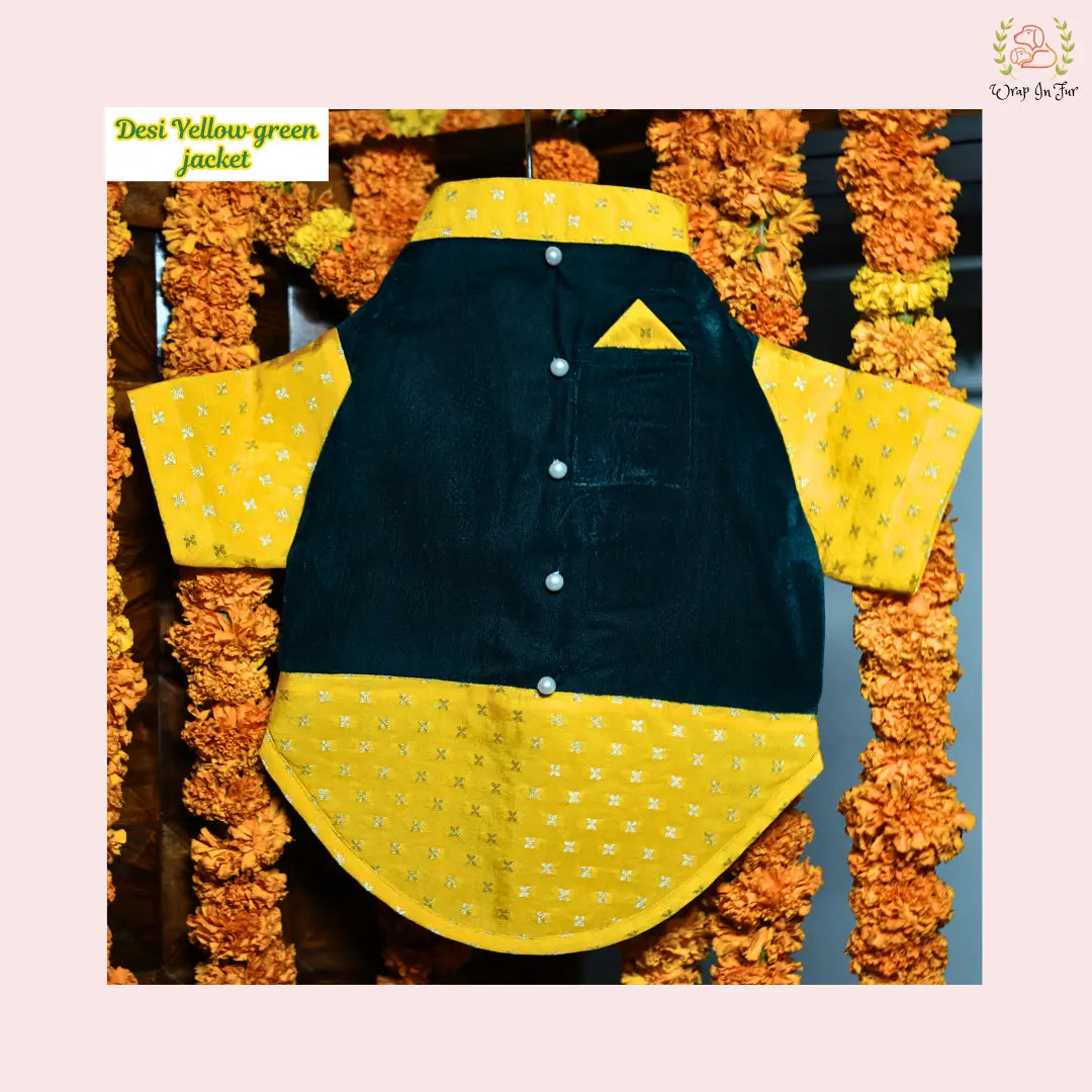 Desi Green & Yellow Dog Kurta Jacket Set - Premium Dog Ethnic Wear