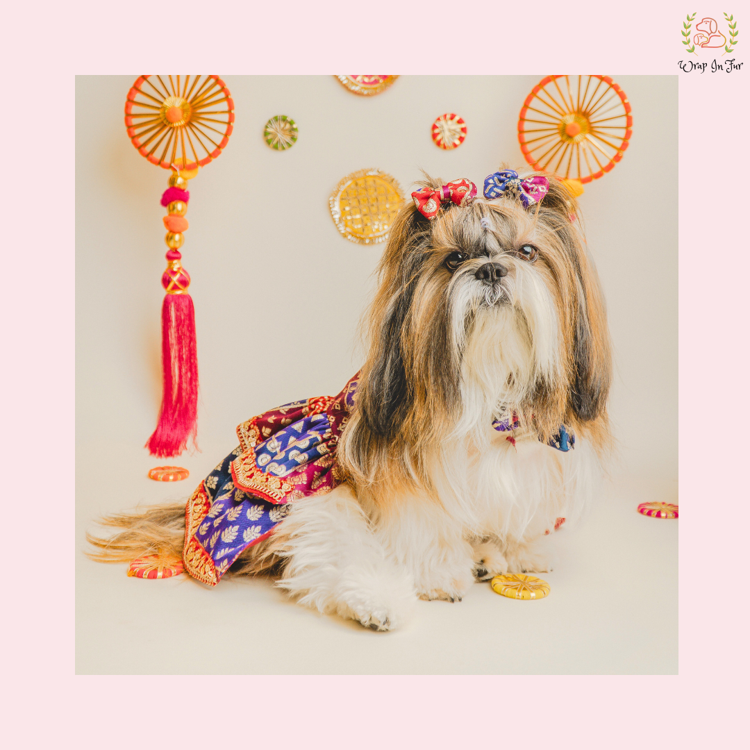 Desi Wedding Dog Dress – Ethnic Dog Bridal Outfit for Functions