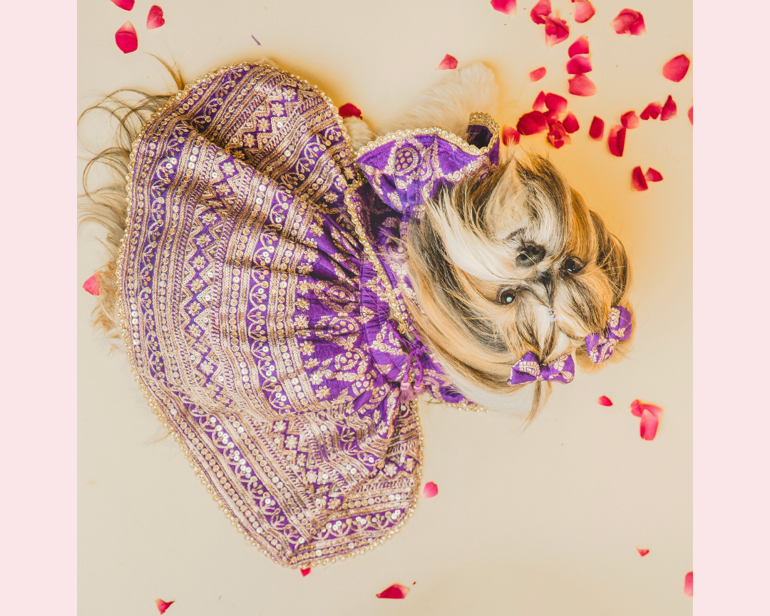 Designer Purple Mastani Dog Lehenga Choli | Premium Ethnic Outfit for Weddings & Festivals