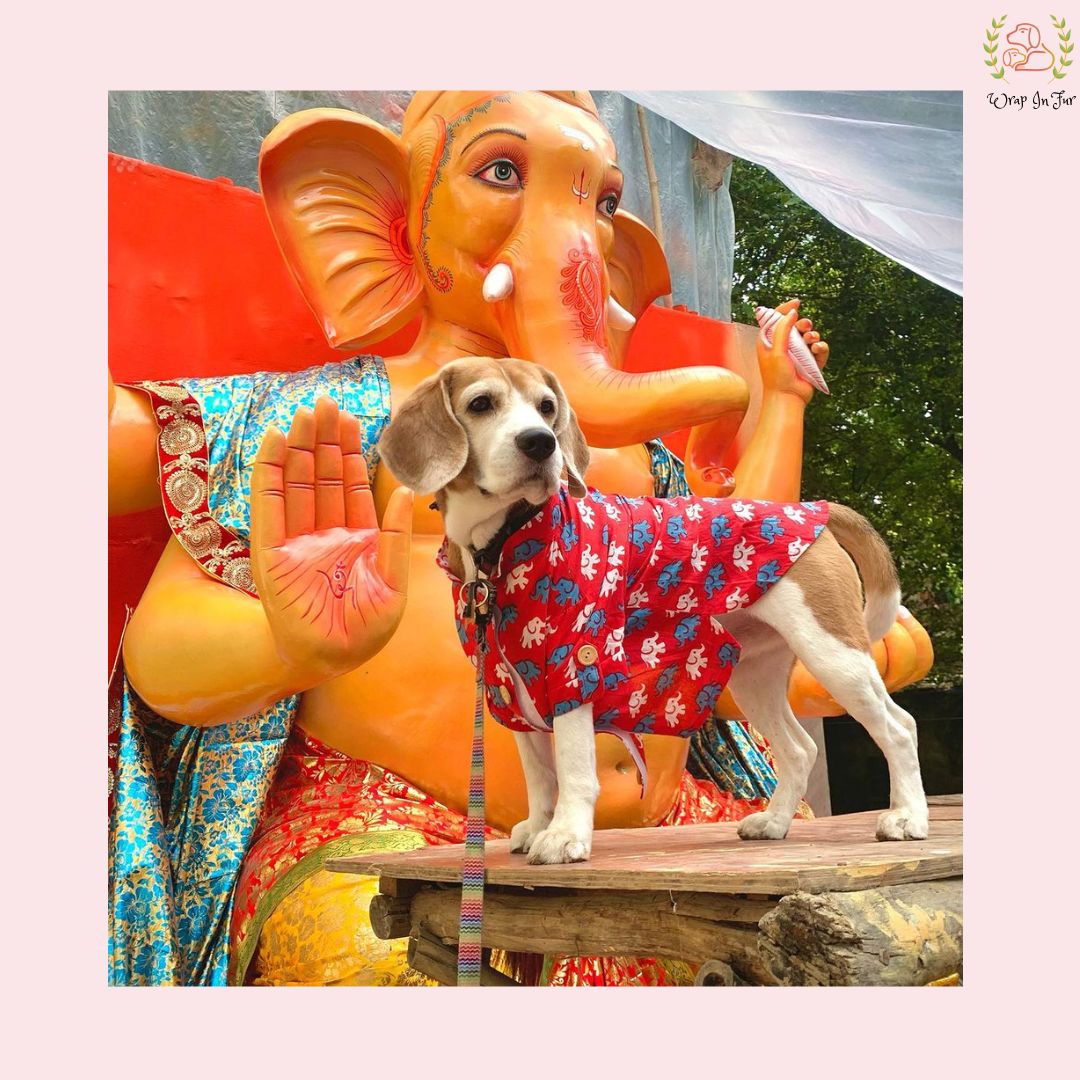 Ellie the Elephant kurta