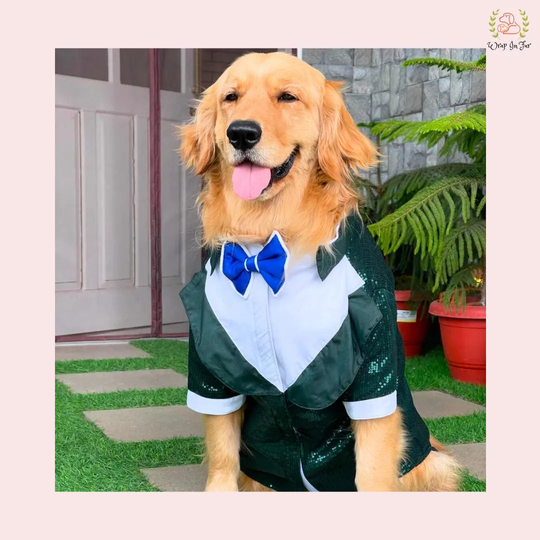 Emerald Green Sequin Dog Tuxedo Jacket | Festive Formal Suit XXL / Blue Emerald Green Sequin Dog Tuxedo Jacket | Festive Formal Suit XXL / Blue