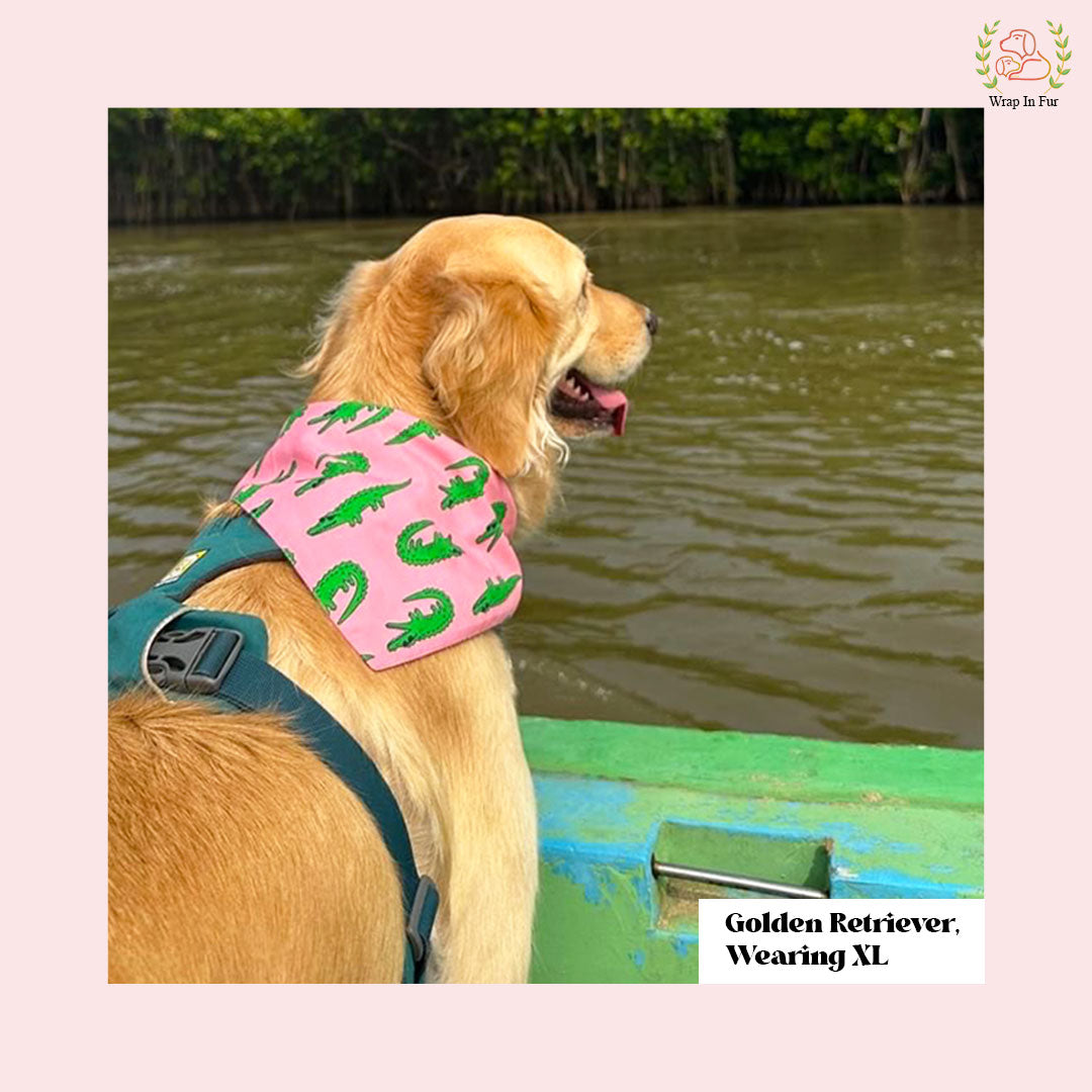 Golden retriever Crocodile dog Bandana