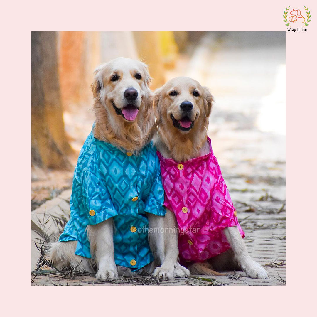 Golden retriever blue pink kurta